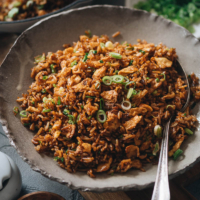 Soy Sauce Fried Rice (酱油炒饭) | Simple yet indulgent, it’s a classic Chinese takeout dish that uses minimal ingredients to create maximum flavor. Only takes ten minutes to prepare, and it’s robust enough to serve as a main or to satisfy your midnight salty snack craving.